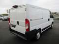 Fiat Ducato 3.0 CH1 2.0 MULTIJET 115CH PACK PRO NAV Blanc - thumbnail 4