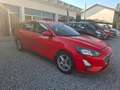 Ford Focus Focus Active SW Active SW 1.5 ecoblue co-pilot s Rosso - thumbnail 3