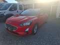Ford Focus Focus Active SW Active SW 1.5 ecoblue co-pilot s Rosso - thumbnail 1