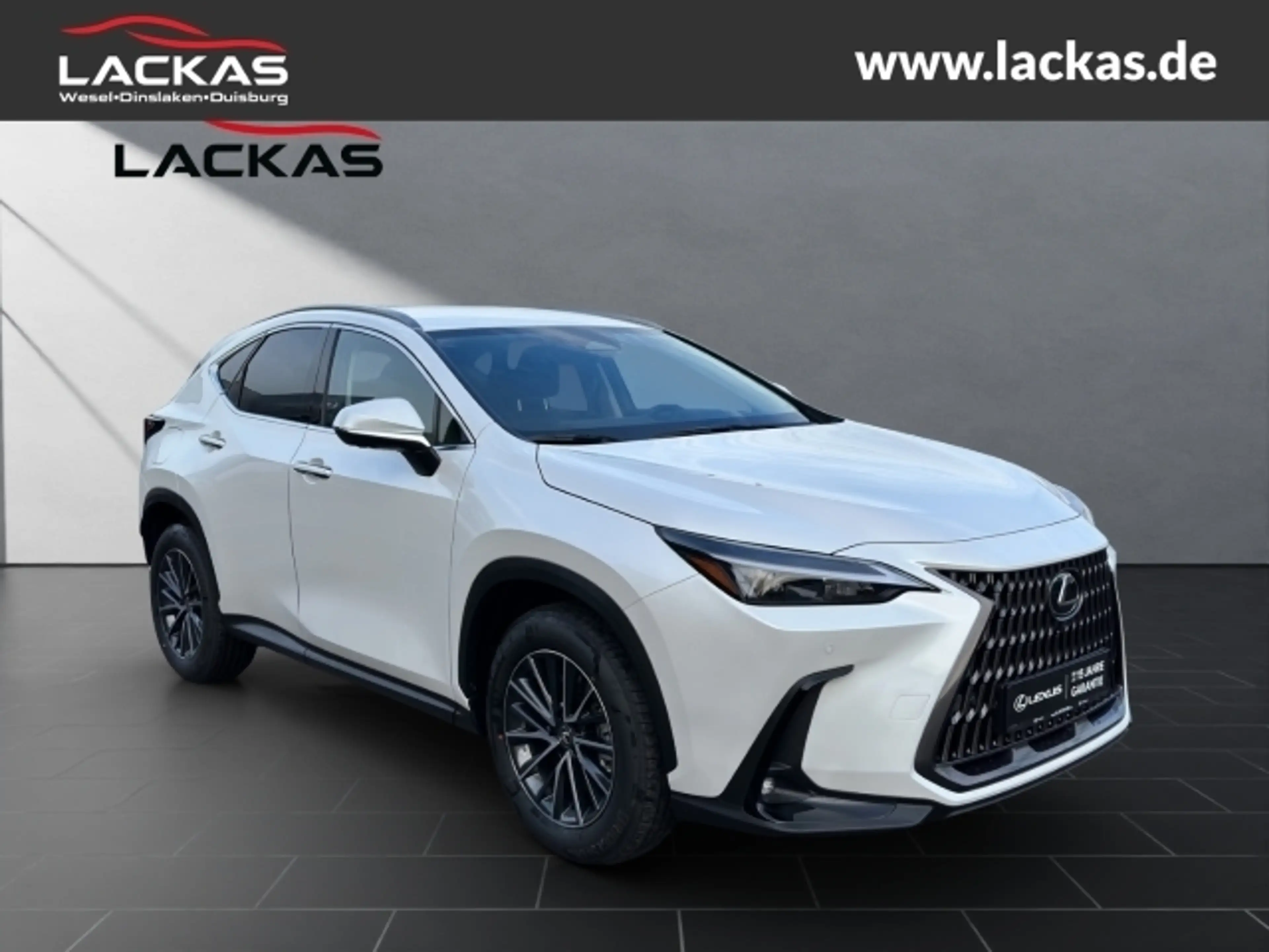 Lexus NX 450h+ + Executive Interieur+Technologie+360CAM+Pano — photo 5