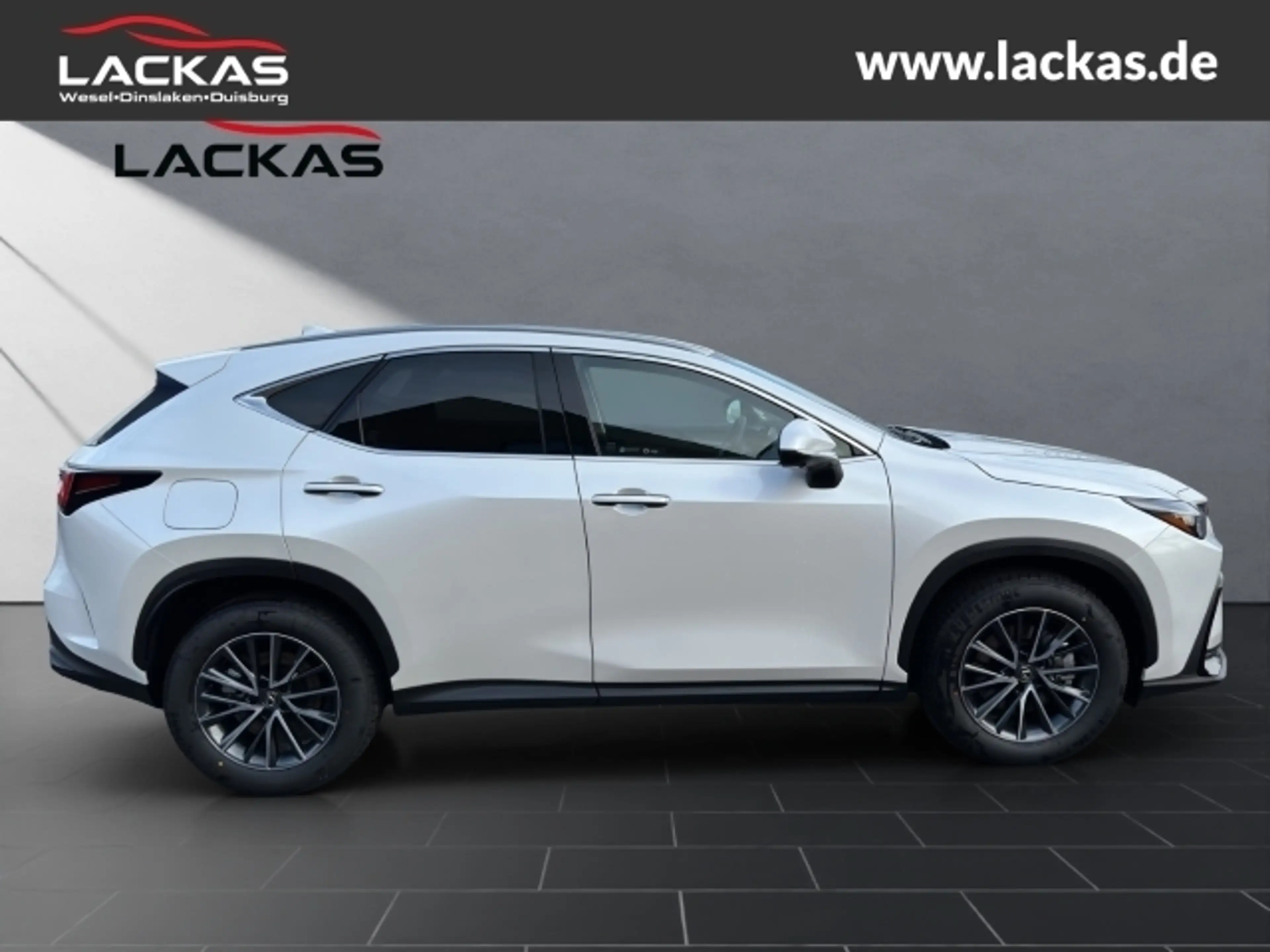 Lexus NX 450h+ + Executive Interieur+Technologie+360CAM+Pano — photo 6