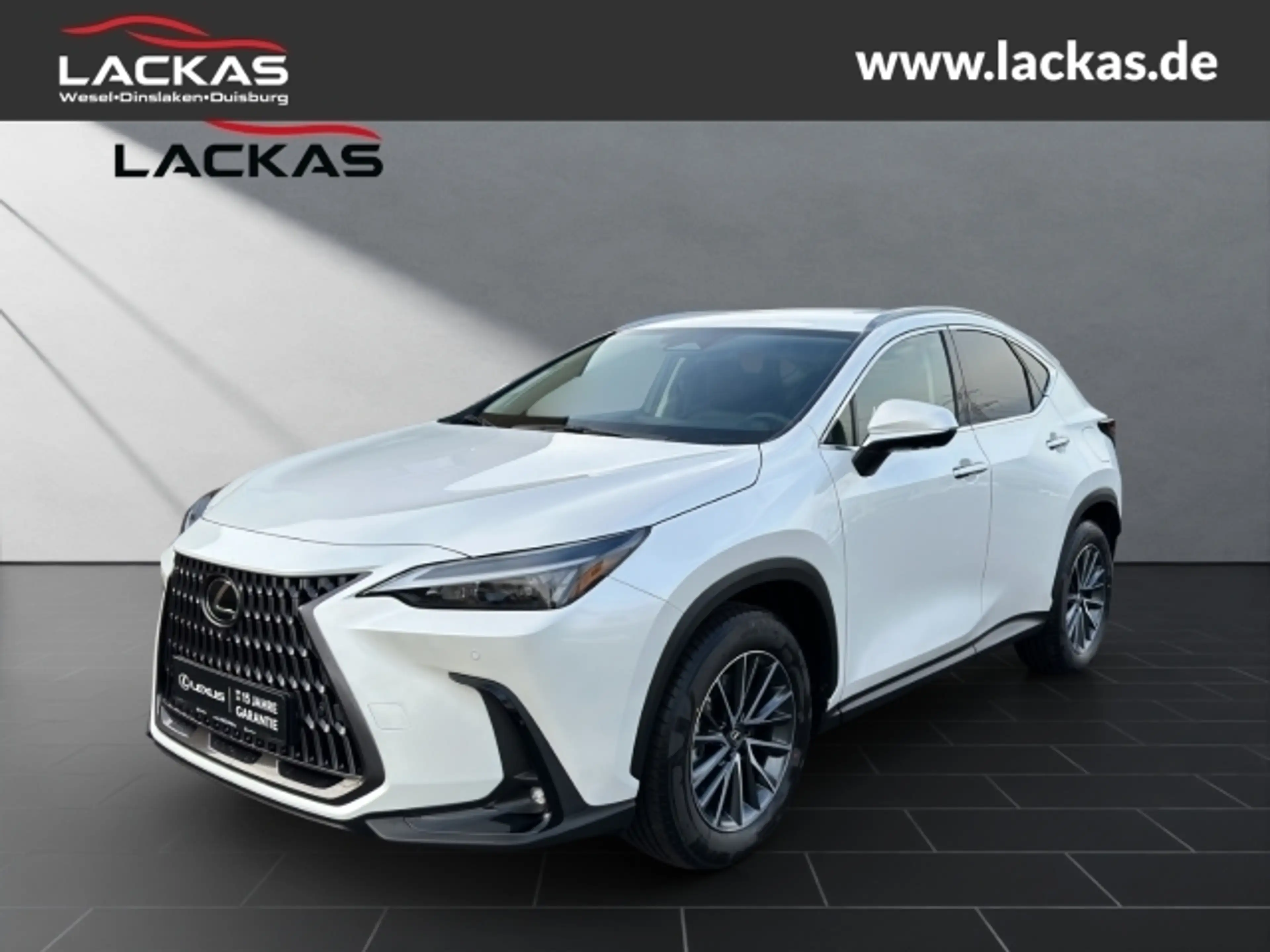 Lexus NX 450h+ + Executive Interieur+Technologie+360CAM+Pano