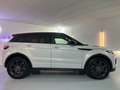 Land Rover Range Rover Evoque 2.0TD4 HSE 4WD Aut. 180 Blanco - thumbnail 10