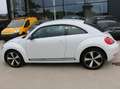 Volkswagen New Beetle New Beetle 1.4  Automatik + 1 jaar garantie traxio Blanc - thumbnail 10