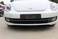 Volkswagen New Beetle New Beetle 1.4  Automatik + 1 jaar garantie traxio Blanc - thumbnail 11