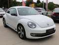 Volkswagen New Beetle New Beetle 1.4  Automatik + 1 jaar garantie traxio Blanc - thumbnail 5