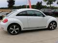 Volkswagen New Beetle New Beetle 1.4  Automatik + 1 jaar garantie traxio Blanc - thumbnail 6