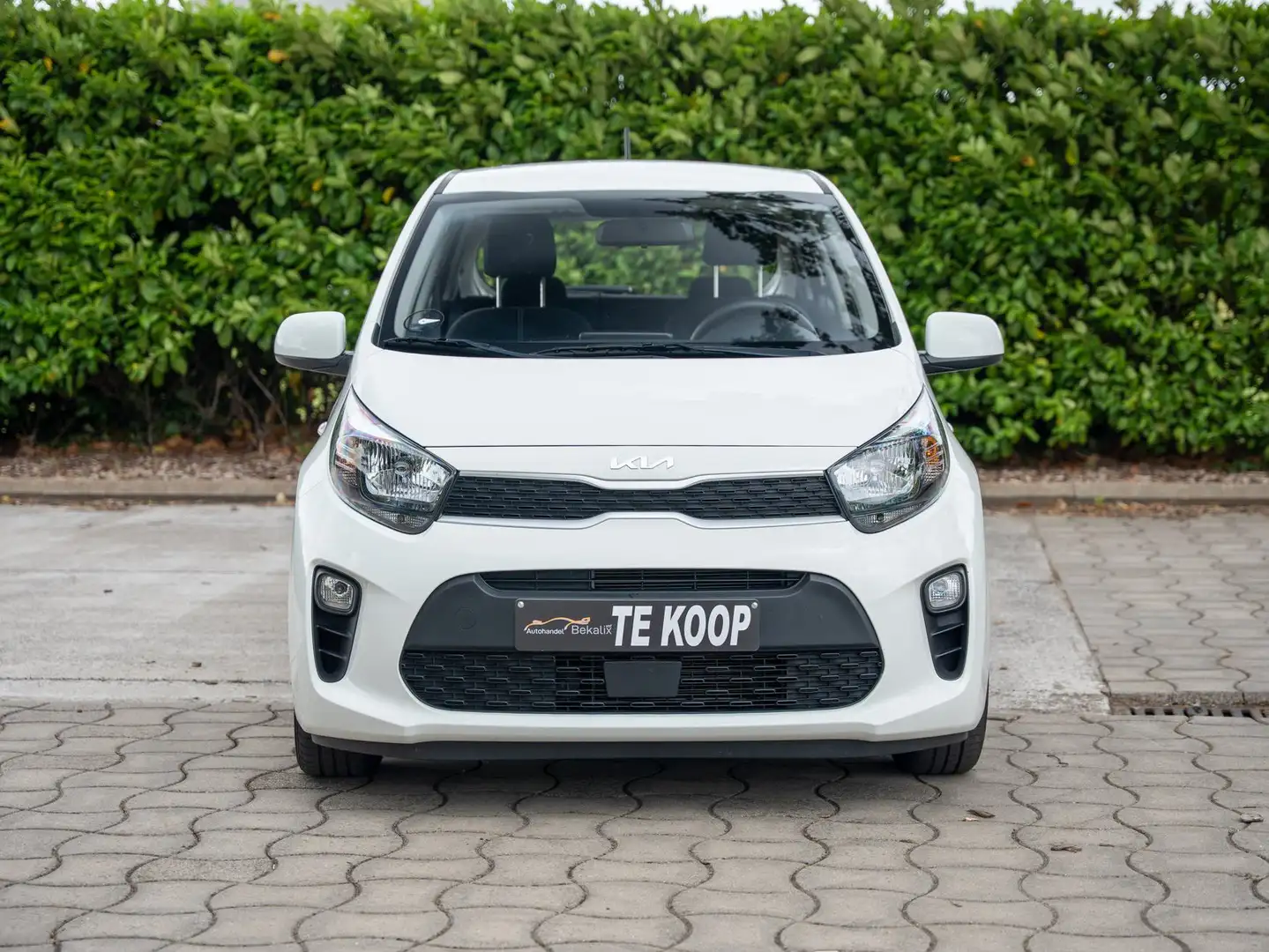 Kia Picanto Picanto 1.0 Vision Blanc - 2