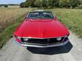 Ford Mustang Convertible L6 Červená - thumbnail 2