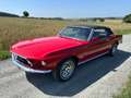 Ford Mustang Convertible L6 Červená - thumbnail 11