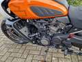 Harley-Davidson Pan America pan america special Oranje - thumbnail 8