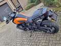 Harley-Davidson Pan America pan america special Oranje - thumbnail 6