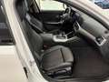 BMW 320 BMW320 d xDrive Sport Line/M-Paket/Kamera/Garantie Blanco - thumbnail 10