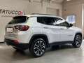 Jeep Compass 1.6 Multijet II 2WD Limited Argento - thumbnail 6