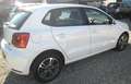 Volkswagen Polo Polo V 2017 5p 1.4 tdi bm Original 90cv OK NEO. Bianco - thumbnail 4