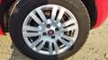 Fiat Punto 1.4 8V 5 porte Natural Power Lounge Rot - thumbnail 11