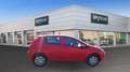 Fiat Punto 1.4 8V 5 porte Natural Power Lounge Rot - thumbnail 4