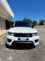 Land Rover Range Rover Sport 3.0 tdV6 SE auto - thumbnail 2