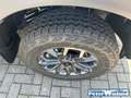 Ford Ranger Wildtrak V6 e-4WD Doppelkabine 3.0 Ecoblue EU6e AH Grau - thumbnail 5