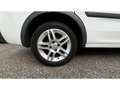 Opel Combo 1.3 CDTI 75 EDITION - ENTRETIEN COMPLET Weiß - thumbnail 23