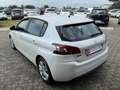 Peugeot 308 308 1.6 HDi 92 CV Business Blanc - thumbnail 5