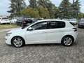 Peugeot 308 308 1.6 HDi 92 CV Business Blanc - thumbnail 6