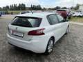 Peugeot 308 308 1.6 HDi 92 CV Business Blanc - thumbnail 4