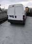 Fiat Scudo furgone Blanco - thumbnail 1