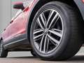 Volkswagen Tiguan 2.0 TDI DSG 4Motion Elegance AHK, ZGV Rot - thumbnail 7