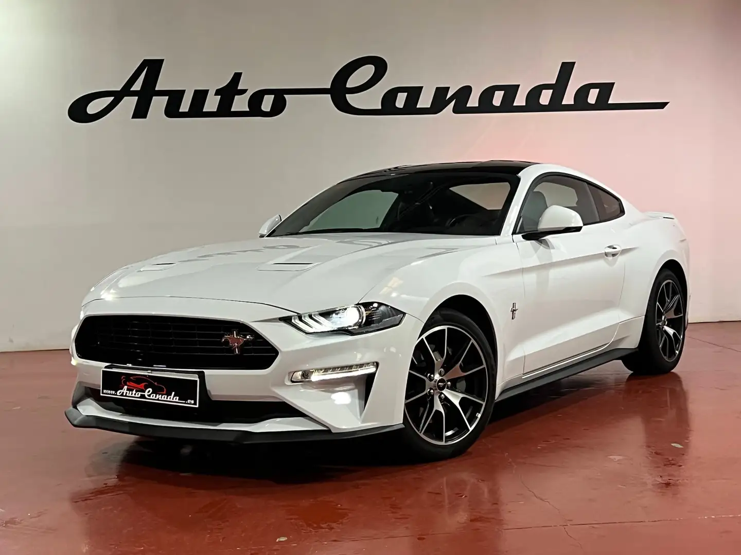 Ford Mustang Fastback 2.3 EcoBoost 214kW Weiß - 2