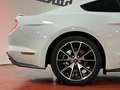 Ford Mustang Fastback 2.3 EcoBoost 214kW Weiß - thumbnail 13