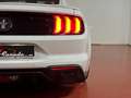Ford Mustang Fastback 2.3 EcoBoost 214kW Weiß - thumbnail 19