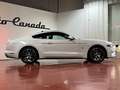 Ford Mustang Fastback 2.3 EcoBoost 214kW Weiß - thumbnail 11