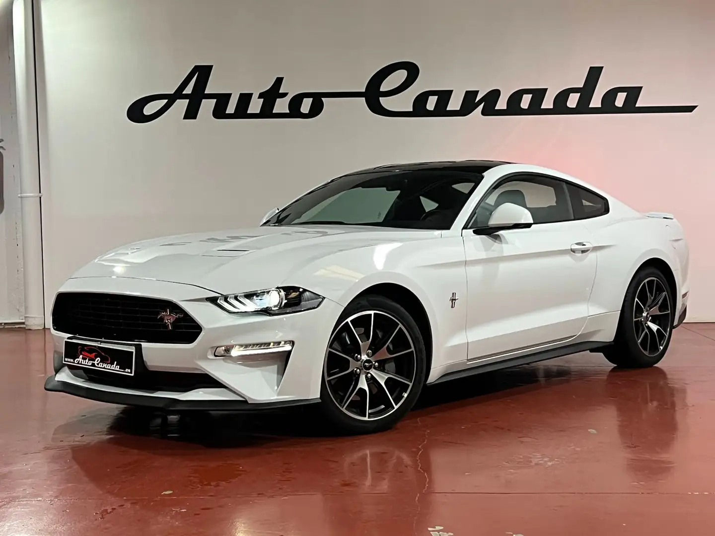 Ford Mustang Fastback 2.3 EcoBoost 214kW Weiß - 1