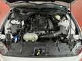 Ford Mustang Fastback 2.3 EcoBoost 214kW Weiß - thumbnail 36