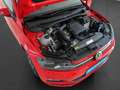 Volkswagen Polo 1.0 TSI Comfortline Klima Einparkhilfe Rot - thumbnail 14