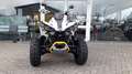 Can Am Renegade 650  XXC  T ABS auf Lager Grijs - thumbnail 16