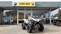 Can Am Renegade 650  XXC  T ABS auf Lager Gris - thumbnail 4