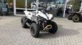 Can Am Renegade 650  XXC  T ABS auf Lager Grijs - thumbnail 3