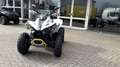 Can Am Renegade 650  XXC  T ABS auf Lager Grijs - thumbnail 7