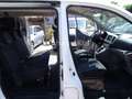 Nissan NV200 / Evalia Tekna- 7Sit/NAVI/Benzin/Kamera Weiß - thumbnail 19