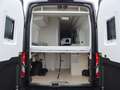 Ford Transit Big Nugget 2.0 Ecoblue Autom. +Kamera+ACC+Xenon Grau - thumbnail 8