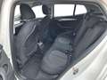 BMW X2 sDrive18d 150 CV Automatica NAVI LED Business-X Bianco - thumbnail 14