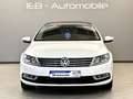 Volkswagen CC 4Motion/DSG/Pano./Kamera/Massage/Standheizung Білий - thumbnail 5