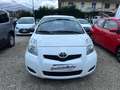 Toyota Yaris Yaris 1.0 5 porte Sol Blanc - thumbnail 3