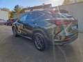 Lexus NX 450h+ E-FOUR Executive Line Technologie Paket Vert - thumbnail 3