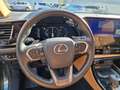 Lexus NX 450h+ E-FOUR Executive Line Technologie Paket Vert - thumbnail 10