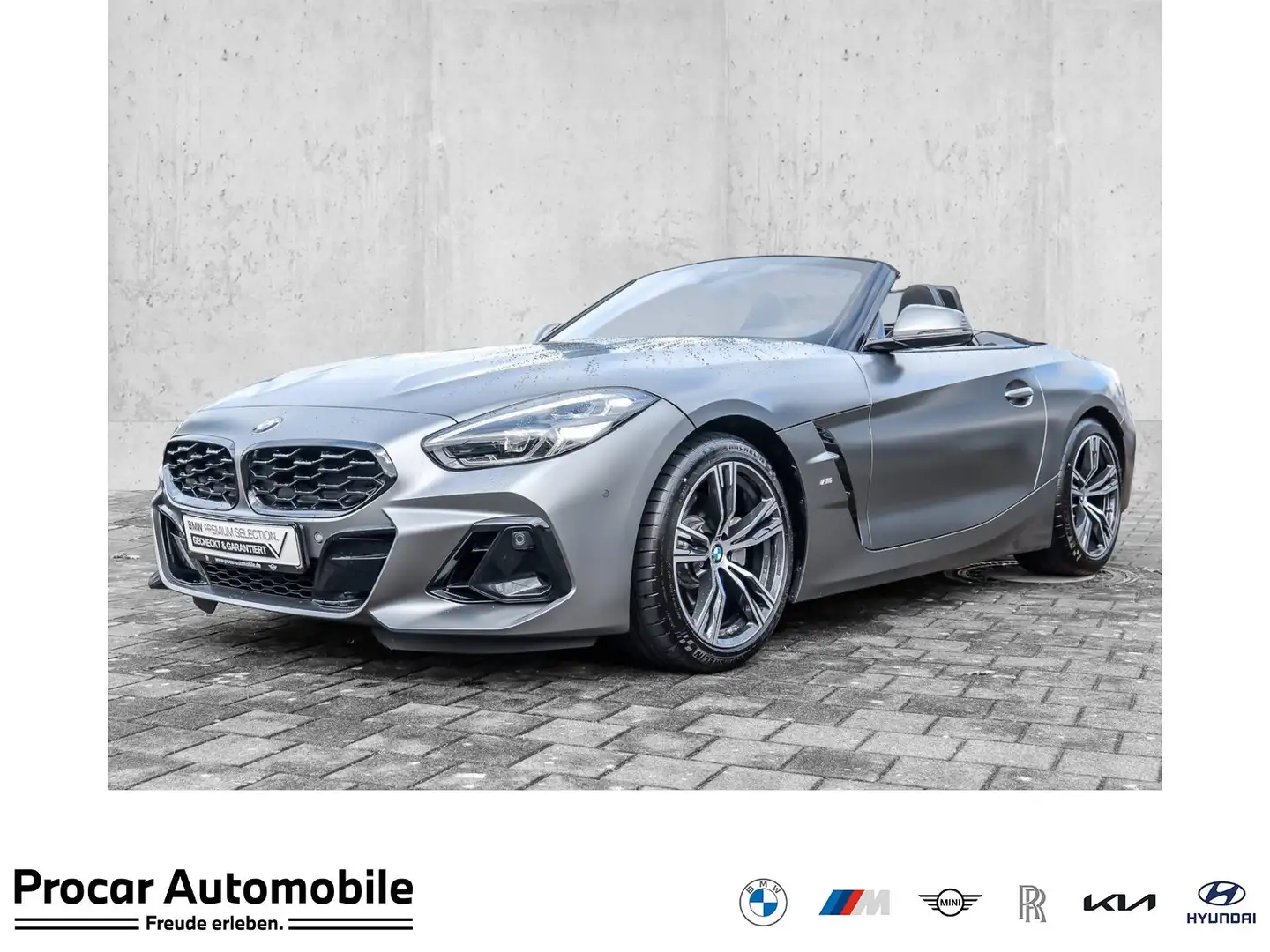 BMW Z4 sDrive20i M Sport ACC RFK NAVI LED PDC V+H Grau - 1