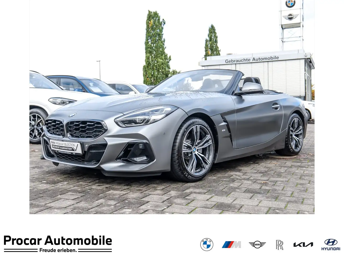 BMW Z4 sDrive20i M Sport ACC RFK NAVI LED PDC V+H Grau - 1