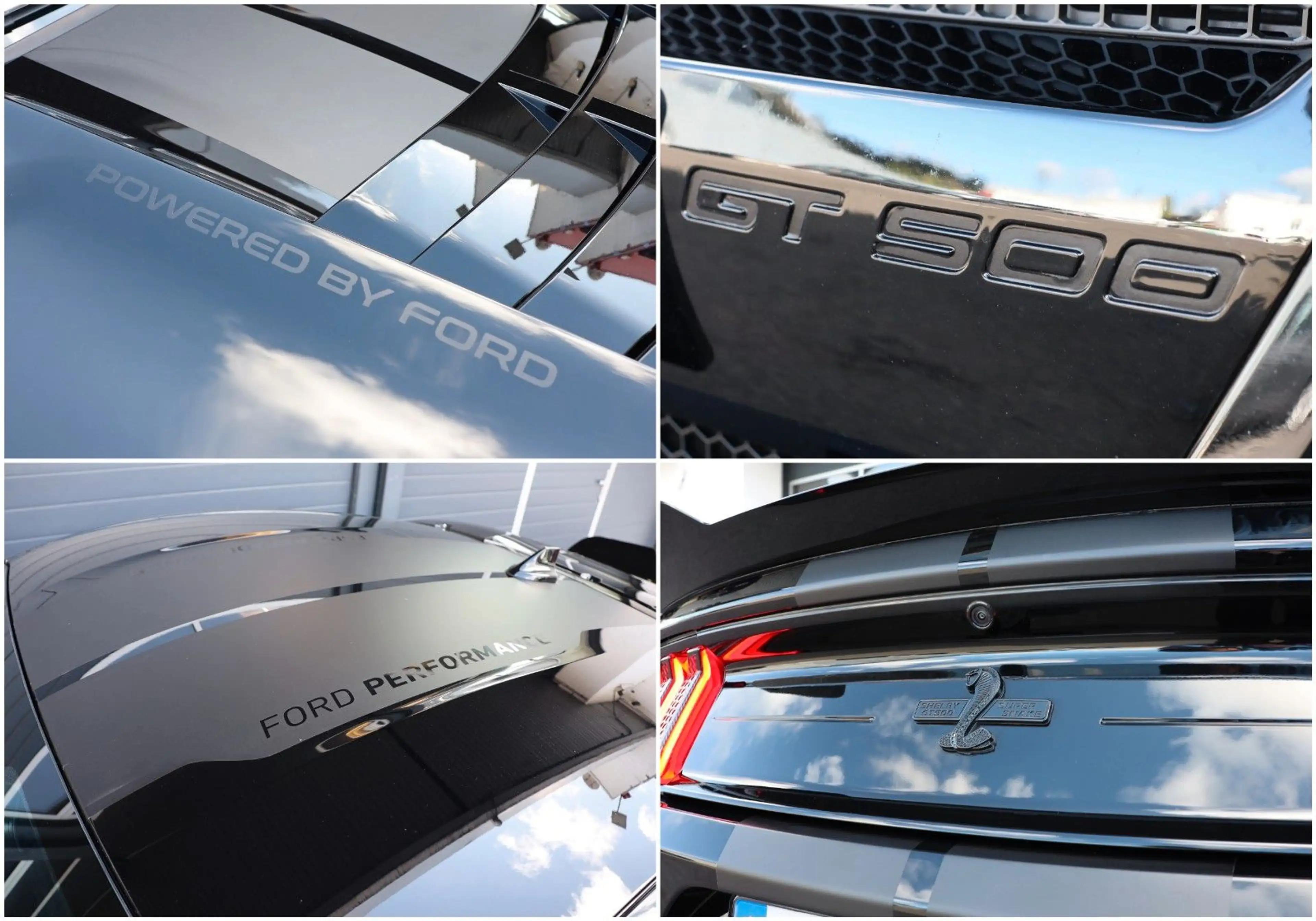 Ford Mustang 5.0 GT/RECARO/SHZ/TOTW/KAMERA/SPUR/R20 — photo 12